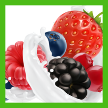 Load image into Gallery viewer, PROTEIN - HN Isolate Vegan Pea Protein, Wild Mixed Berries